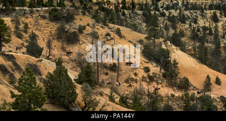 Bryce, Utah, USA. 3 juillet, 2018. Une ligne de cavaliers font leur chemin vers le bas le sentier équestre dans le canyon dans le Parc National de Bryce Canyon à Bryce, Utah, le mardi 3 juillet 2018. Credit : L.E. Baskow/ZUMA/Alamy Fil Live News Banque D'Images