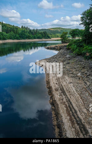 Plymouth, Devon. 19 juillet, 2018. Réservoir Burrator à Dartmoor dans le Devon qui est maintenant de seulement 41,9  % de la capacité de révéler certaines parties de la 15e siècle Langstone Manor Estate. L'herbe et autres plantes ont commencé à récupérer le sol situé sous les pieds de l'eau. Crédit : Paul Slater/Alamy Live News Banque D'Images