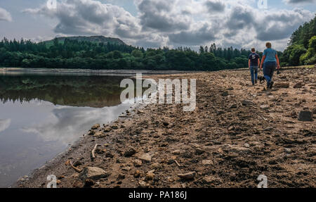 Plymouth, Devon. 19 juillet, 2018. Réservoir Burrator à Dartmoor dans le Devon qui est maintenant de seulement 41,9  % de la capacité de révéler certaines parties de la 15e siècle Langstone Manor Estate. L'herbe et autres plantes ont commencé à récupérer le sol situé sous les pieds de l'eau. Crédit : Paul Slater/Alamy Live News Banque D'Images