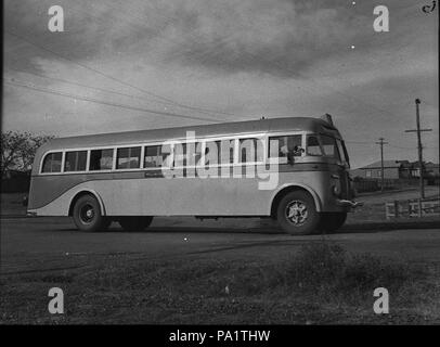 29184 SLNSW 253 autobus blanc Banque D'Images