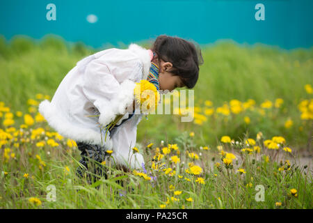 Young Girl Picking Flowers à Okhotsk, Russie Banque D'Images