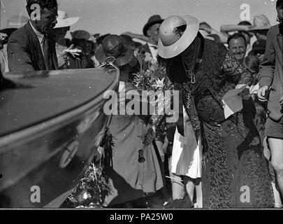 260 35155 SLNSW surf Curl Curl Banque D'Images