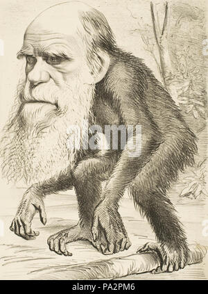 606 caricature représentant Charles Darwin comme un singe (1871) Banque D'Images