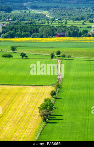 Les terres arables avec vue sur champ et arbres Banque D'Images