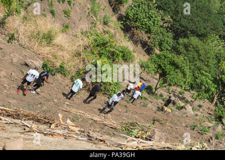 Un groupe de personnes habillées de couleurs vives d'un côté la montagne randonnée à travers une forêt. Banque D'Images