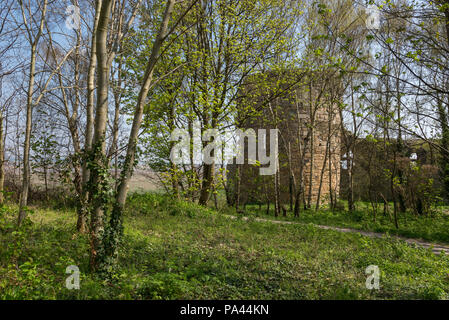 Ruines du château avec vue à travers les arbres sur une journée de printemps ensoleillée. Un château du 13ème siècle à côté de la rivière Dee. Banque D'Images