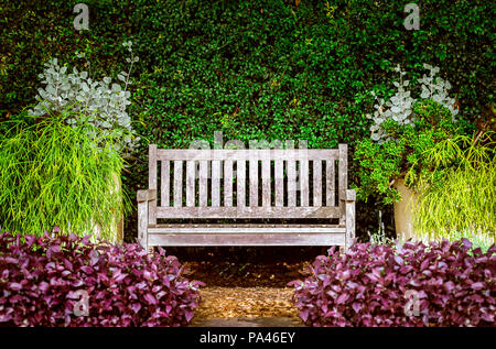 Un banc en bois dans le jardin entouré de verdure et de buissons et de fleurs rouges Banque D'Images