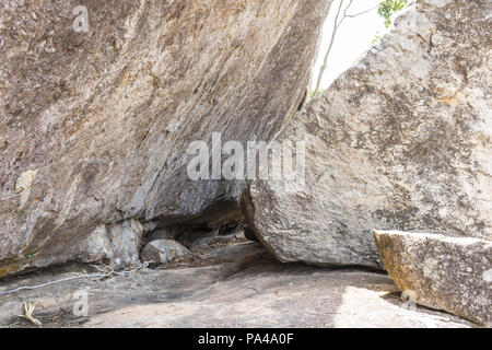 Une grotte dans une roche hill avec des feuilles mortes, des brindilles et des racines. Accueil de nombreux reptiles. Banque D'Images