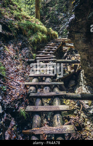 Tourisme à Sucha Bela canyon dans le parc national du Paradis slovaque, partie nord de Monts Métallifères slovaques en Slovaquie Banque D'Images