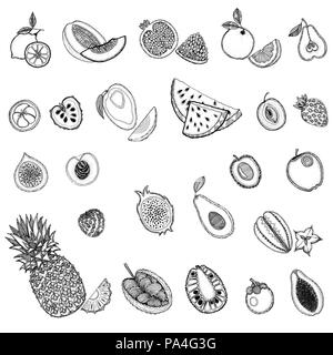 Ensemble de croquis dessinés à la main, les fruits exotiques style isolé sur fond blanc. Vector illustration. Illustration de Vecteur