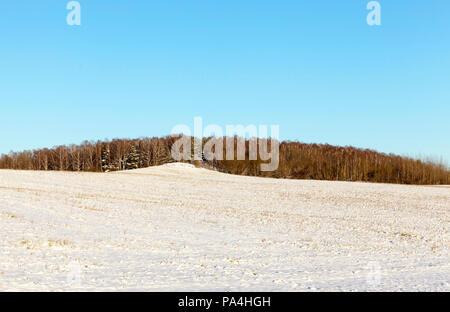 Blanche Neige après la neige était tombée et couvrirent le pays dans le domaine agricole , Photo dans la saison d'hiver, dans la neige s'enfonce un grand nombre de Banque D'Images