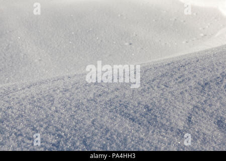 Belle et flocons de neige en cristaux de glace sur une prairie, saison d'hiver, gros plan des détails en hiver Banque D'Images