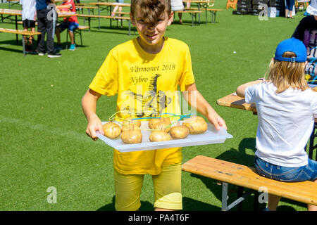 Malmö, Suède. 19 juillet, 2018. Une tentative d'établir un record du monde en créant le courant électrique la plus élevée à l'aide de pommes de terre ordinaires qui ont lieu dans Folkets Park. Credit : Tommy Lindholm/Pacific Press/Alamy Live News Banque D'Images