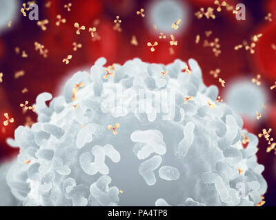 White , des globules rouges et des anticorps , leucocytes , maladies infectieuses et du système immunitaire Banque D'Images
