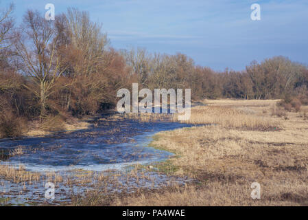 Vue depuis la terre banque du fleuve Vistule près de Nowy Dwor Mazowiecki en Voïvodie de Mazovie ville de Pologne Banque D'Images