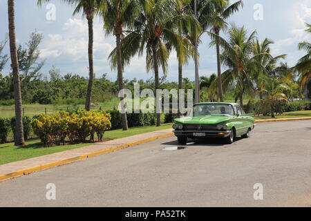 Balades en voiture américaine vintage vert le long d'une rangée de hauts palmiers Banque D'Images