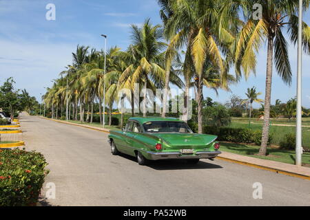 Balades en voiture américaine vintage vert le long d'une rangée de hauts palmiers Banque D'Images