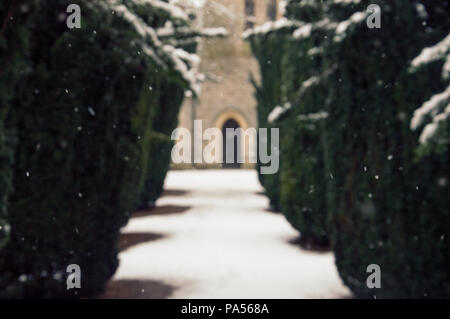 Une avenue d'if dans un cimetière avec la neige qui tombe, avec la porte de l'église n'est pas mise au point de vue artistique dans l'arrière-plan Banque D'Images