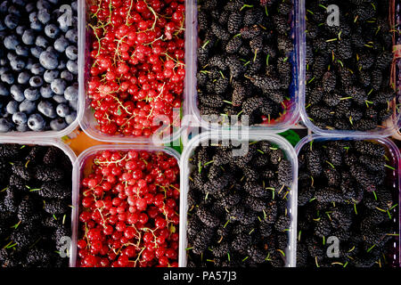 Des fruits dans des paniers à un marché. Petits fruits mélangés au marché de l'eco Banque D'Images