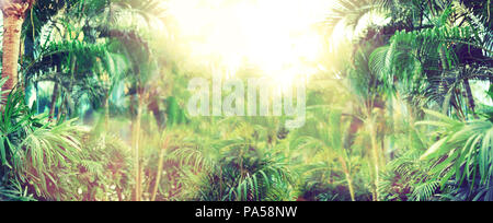 Feuilles de palmier tropical sun avec effet de fuite. Modèle Floral background. Bannière, copiez l'espace. Palmiers exotiques bokeh, tonique. L'été, vacances et voyage d'hiver Banque D'Images