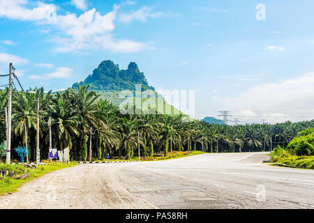Paysage en Malaisie sur la route près de Ipoh Banque D'Images