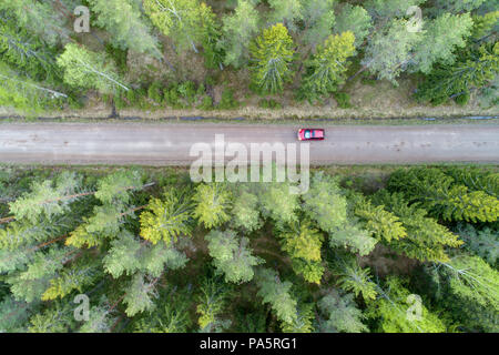 High angle view of lire la voiture sur route forestière Banque D'Images