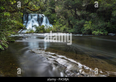 Aniwaniwa Falls, une cascade de la forêt tropicale, Te Urewera National Park, North Island, New Zealand Banque D'Images