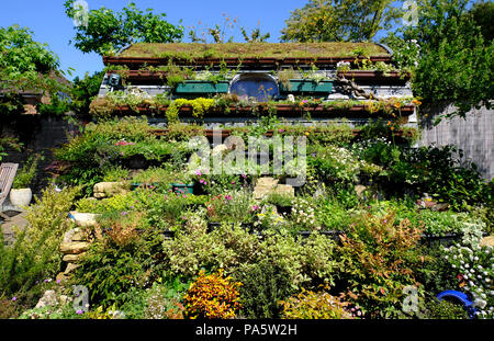 Sedum et toiture en jardin anglais de plantation en cascade Banque D'Images