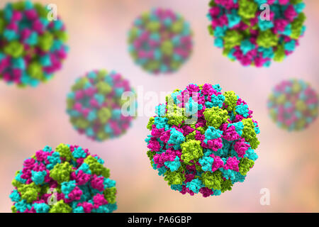 Les Norovirus, illustration de l'ordinateur. Le norovirus est un genre d'ARN (acide ribonucléique) virus (de la famille des Caliciviridae), qui sont responsables d'environ la moitié de tous les cas de gastro-entérite dans le monde entier. La maladie se caractérise par des nausées, vomissements, diarrhée et douleurs abdominales. La diarrhée résulte en une perte de liquide et de la déshydratation, qui peut entraîner la mort chez les jeunes, les personnes âgées et les personnes immunodéprimées si elle n'est pas traitée rapidement. Banque D'Images