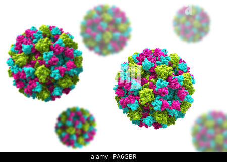 Les Norovirus, illustration de l'ordinateur. Le norovirus est un genre d'ARN (acide ribonucléique) virus (de la famille des Caliciviridae), qui sont responsables d'environ la moitié de tous les cas de gastro-entérite dans le monde entier. La maladie se caractérise par des nausées, vomissements, diarrhée et douleurs abdominales. La diarrhée résulte en une perte de liquide et de la déshydratation, qui peut entraîner la mort chez les jeunes, les personnes âgées et les personnes immunodéprimées si elle n'est pas traitée rapidement. Banque D'Images