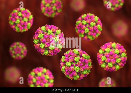 Les Norovirus, illustration de l'ordinateur. Le norovirus est un genre d'ARN (acide ribonucléique) virus (de la famille des Caliciviridae), qui sont responsables d'environ la moitié de tous les cas de gastro-entérite dans le monde entier. La maladie se caractérise par des nausées, vomissements, diarrhée et douleurs abdominales. La diarrhée résulte en une perte de liquide et de la déshydratation, qui peut entraîner la mort chez les jeunes, les personnes âgées et les personnes immunodéprimées si elle n'est pas traitée rapidement. Banque D'Images