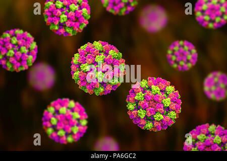 Les Norovirus, illustration de l'ordinateur. Le norovirus est un genre d'ARN (acide ribonucléique) virus (de la famille des Caliciviridae), qui sont responsables d'environ la moitié de tous les cas de gastro-entérite dans le monde entier. La maladie se caractérise par des nausées, vomissements, diarrhée et douleurs abdominales. La diarrhée résulte en une perte de liquide et de la déshydratation, qui peut entraîner la mort chez les jeunes, les personnes âgées et les personnes immunodéprimées si elle n'est pas traitée rapidement. Banque D'Images