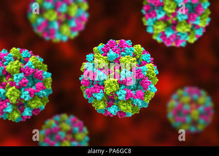 Les Norovirus, illustration de l'ordinateur. Le norovirus est un genre d'ARN (acide ribonucléique) virus (de la famille des Caliciviridae), qui sont responsables d'environ la moitié de tous les cas de gastro-entérite dans le monde entier. La maladie se caractérise par des nausées, vomissements, diarrhée et douleurs abdominales. La diarrhée résulte en une perte de liquide et de la déshydratation, qui peut entraîner la mort chez les jeunes, les personnes âgées et les personnes immunodéprimées si elle n'est pas traitée rapidement. Banque D'Images