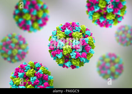 Les Norovirus, illustration de l'ordinateur. Le norovirus est un genre d'ARN (acide ribonucléique) virus (de la famille des Caliciviridae), qui sont responsables d'environ la moitié de tous les cas de gastro-entérite dans le monde entier. La maladie se caractérise par des nausées, vomissements, diarrhée et douleurs abdominales. La diarrhée résulte en une perte de liquide et de la déshydratation, qui peut entraîner la mort chez les jeunes, les personnes âgées et les personnes immunodéprimées si elle n'est pas traitée rapidement. Banque D'Images