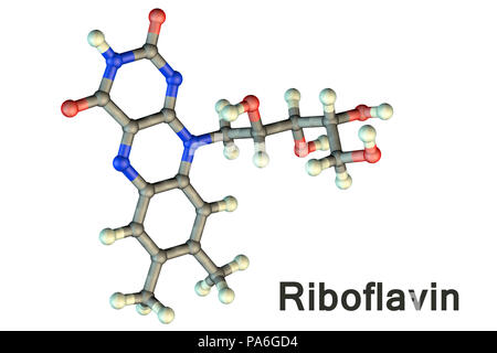 La vitamine B2 (riboflavine), le modèle moléculaire. Cette vitamine joue un rôle clé dans le métabolisme de l'énergie. Les atomes sont représentés comme des sphères et sont codés par couleur : carbone (gris), l'hydrogène (blanc), l'azote (bleu) et d'oxygène (rouge). Banque D'Images