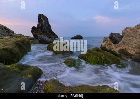 La première lumière sur Shag Rock à Little Downderry dans le sud-est de Cornwall Banque D'Images