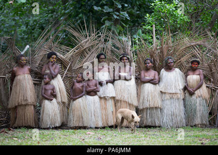 Sections locales en costumes traditionnels, Tanna, Vanuatu Banque D'Images