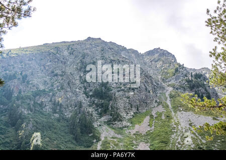 Belle vue sur les forêts, rivières, cascades, chalets et les animaux dans la Vallée de Gressoney situé dans la vallée d'Aoste, au nord de l'Italie. Banque D'Images