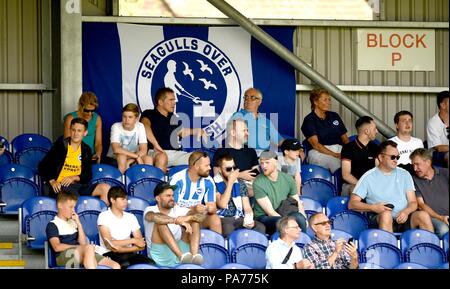 Kingston London UK 21 Juillet 2018 - Brighton fans pendant la pré saison friendly match de football entre l'AFC Wimbledon et Brighton et Hove Albion au Cherry Red Records Stadium de Kingston Surrey Photo prise par Simon Dack Crédit : Simon Dack/Alamy Live News Banque D'Images