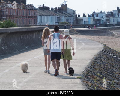 Sheerness, Kent, UK. 21 juillet, 2018. Météo France : une journée ensoleillée et chaude de Sheerness, Kent. Credit : James Bell/Alamy Live News Banque D'Images