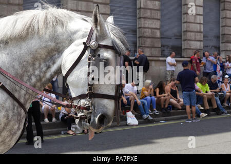 Cheval de la police en tenue anti-émeute complète avec tong. Banque D'Images