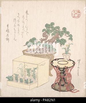 Pine Tree en pot et tambour sept herbes plantés dans une boîte. Artiste : Sunayama Gosei (Japonais, 18e-19e siècle). Culture : le Japon. Dimensions : 8 3/8 x 7 5/16 in. (21,3 x 18,6 cm). Date : 18e-19e siècle. Musée : Metropolitan Museum of Art, New York, USA. Banque D'Images