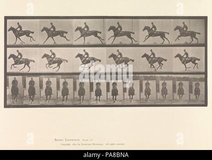 [Le cheval et le cavalier galopant]. Artiste : Eadweard Muybridge (Américain, né en Grande-Bretagne, 1830-1904). Imprimante : La Société Photo-Gravure. Date : 1883-86 imprimé, 1887. Musée : Metropolitan Museum of Art, New York, USA. Banque D'Images