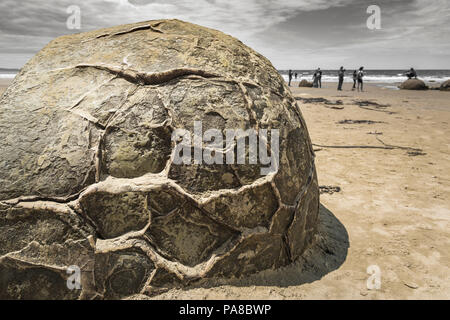 Moeraki Boulders et touristes, Moeraki, Otago, île du Sud, Nouvelle-Zélande Banque D'Images