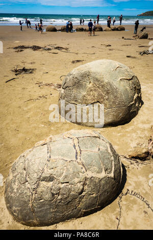 Moeraki Boulders et touristes, Moeraki, Otago, île du Sud, Nouvelle-Zélande Banque D'Images