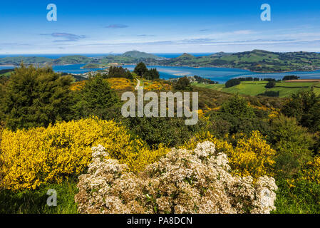 Péninsule d'Otago et du port de la montagne de Cargill, Otago, île du Sud, Nouvelle-Zélande Banque D'Images