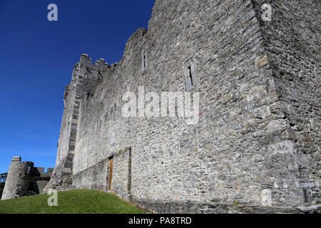 Le Château de Ross est une tour du Xvème siècle maison et garder sur le bord de Lough Leane, dans le Parc National de Killarney, comté de Kerry, Irlande. Banque D'Images