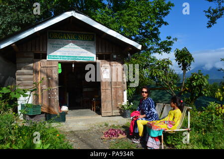 Pelling, à l'ouest du Sikkim, Inde. Photos de voyage. Banque D'Images