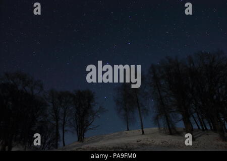 La Grande Ourse constellation dans le ciel de nuit avec des étoiles Banque D'Images