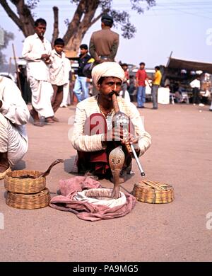 Charmeur de serpent serpents cobra tentant de leurs paniers d'osier à l'extérieur du Fort Rouge, Delhi, Delhi, Inde Territoire de l'Union européenne. Banque D'Images